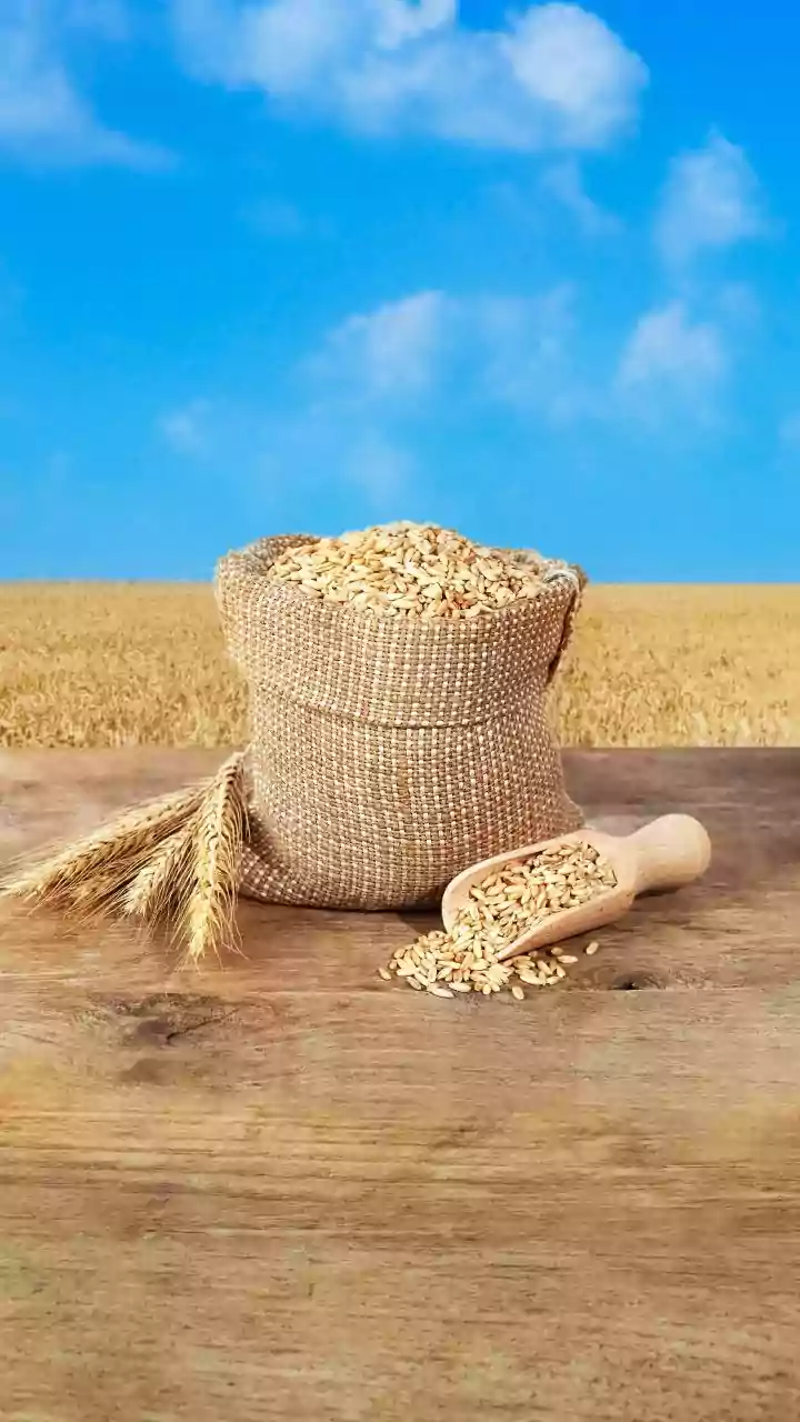 An Underrated African Crop Could Offer Clues For More Resilient Food Systems