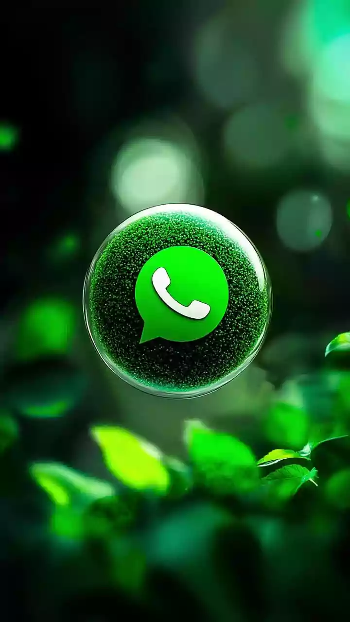 Is The Indian Govt Snooping Into Our WhatsApp Chats? PIB Debunks Viral Hoax Claiming Mass Surveillance