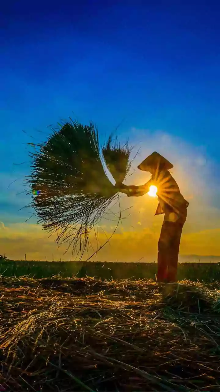 Understanding El Niño and Its Impact on Indian Agriculture