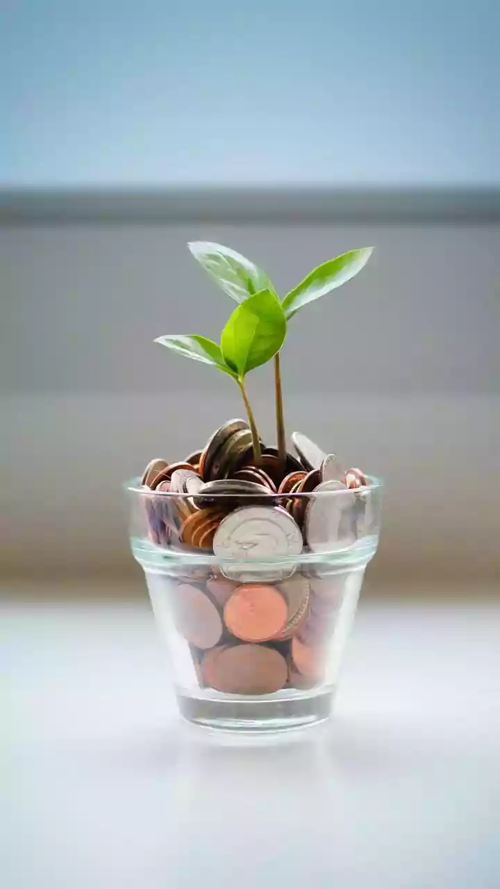 Unveiling the Power of Hybrid Funds: A Smart Investment Choice