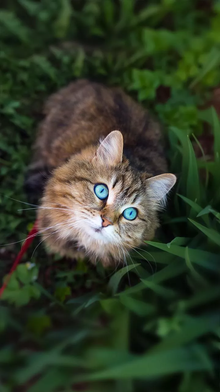 Why winter air makes you blink more frequently