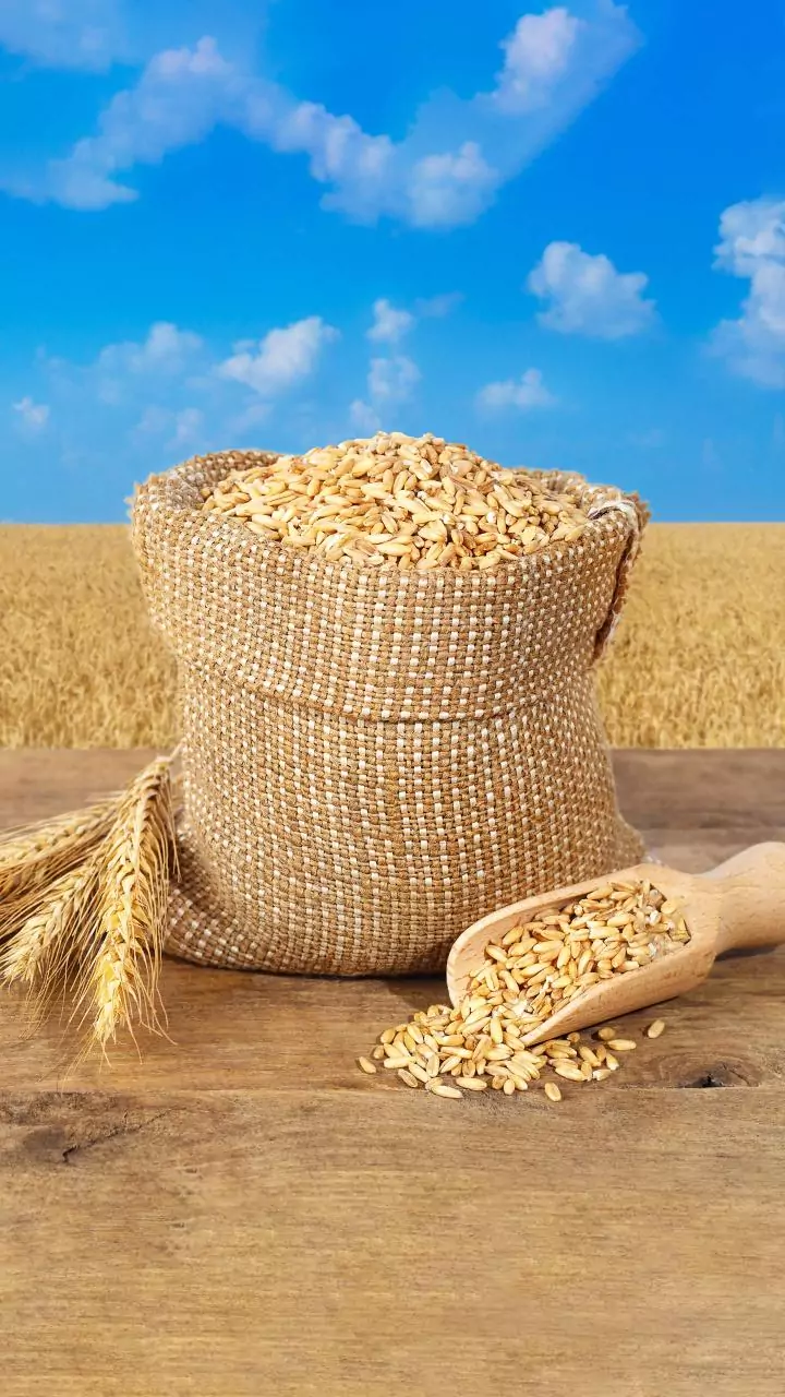 Foodgrain output to hit record 376.56 mn ton in 2025-26; wheat production up 2 pc at 121 mn ton: Govt