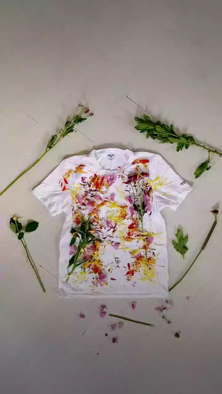 Pressed Flower Art: A Step-by-Step Guide