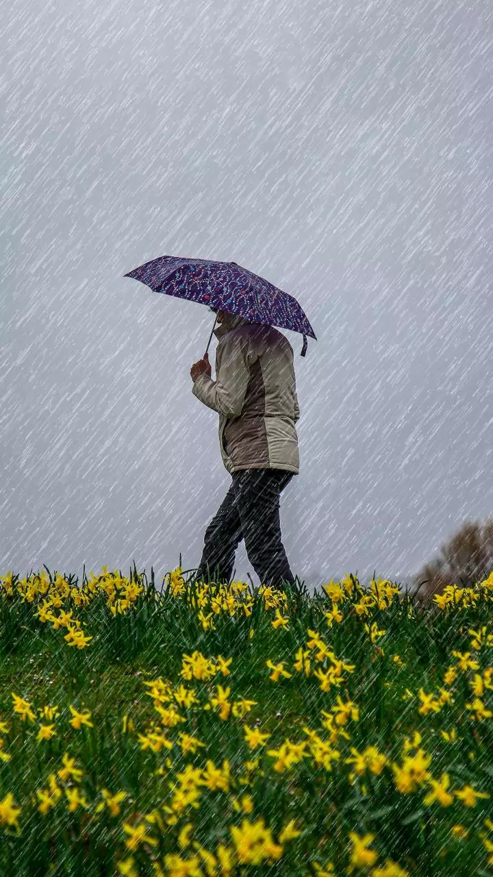 North India faces harsh cold, South gets heavy rain