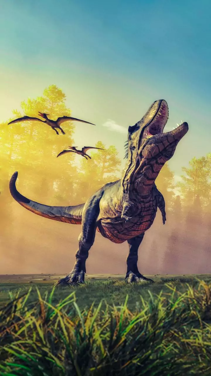 'Dueling Dinosaurs' fossil reveals new species of tyrannosaur