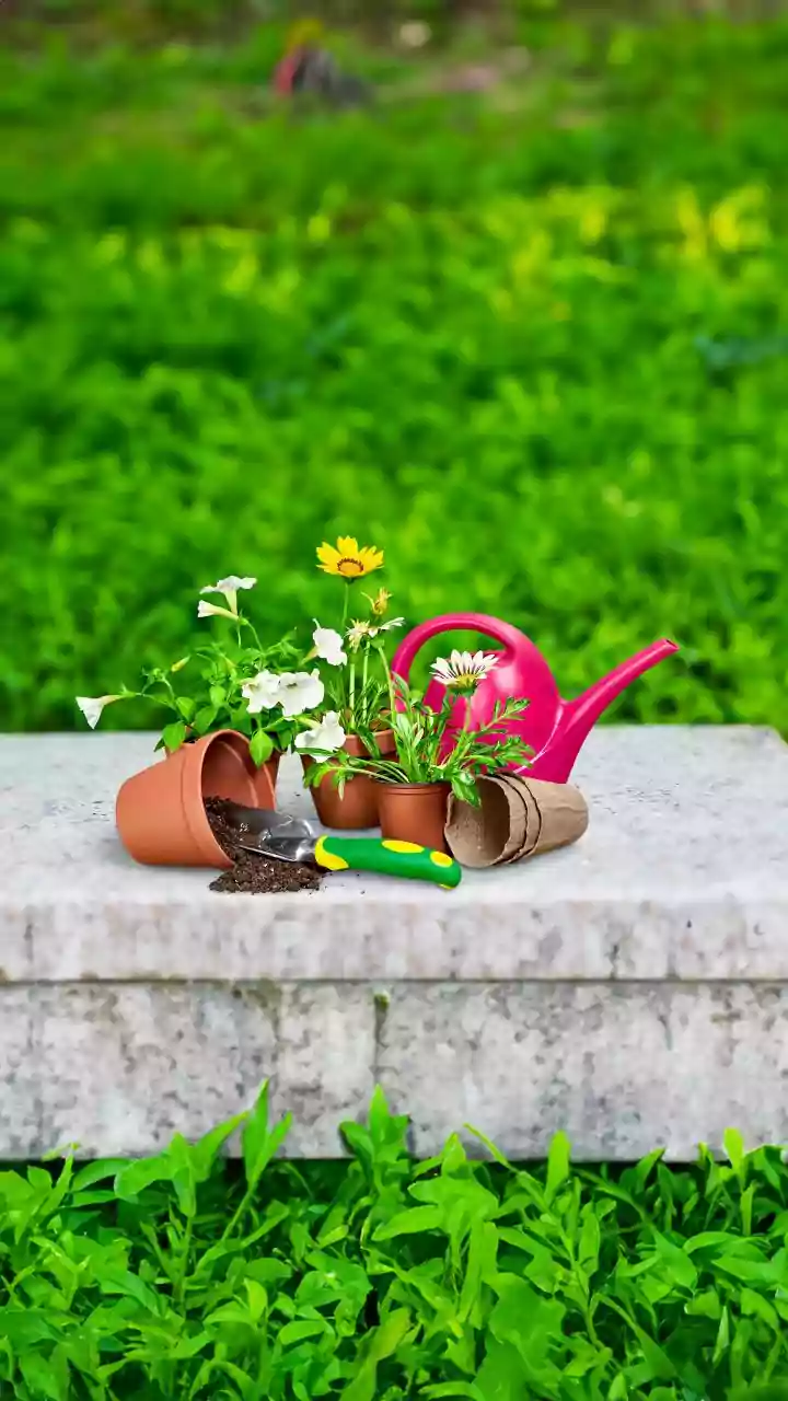 Microbial Soil Sensors Stop Balcony Gardeners From Overwatering Potted Urban Plants