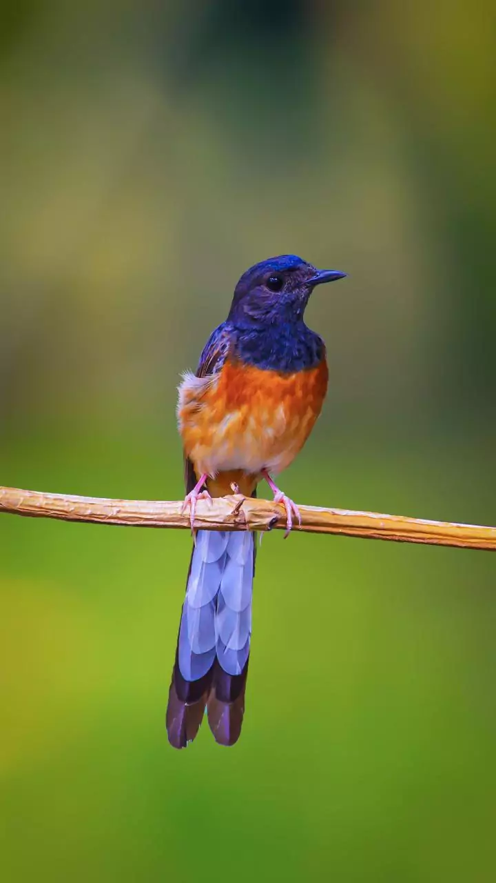 Related Stories banner