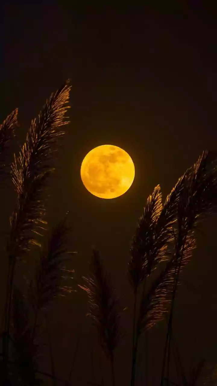 June Strawberry Moon 2026: Viewing Guide for India