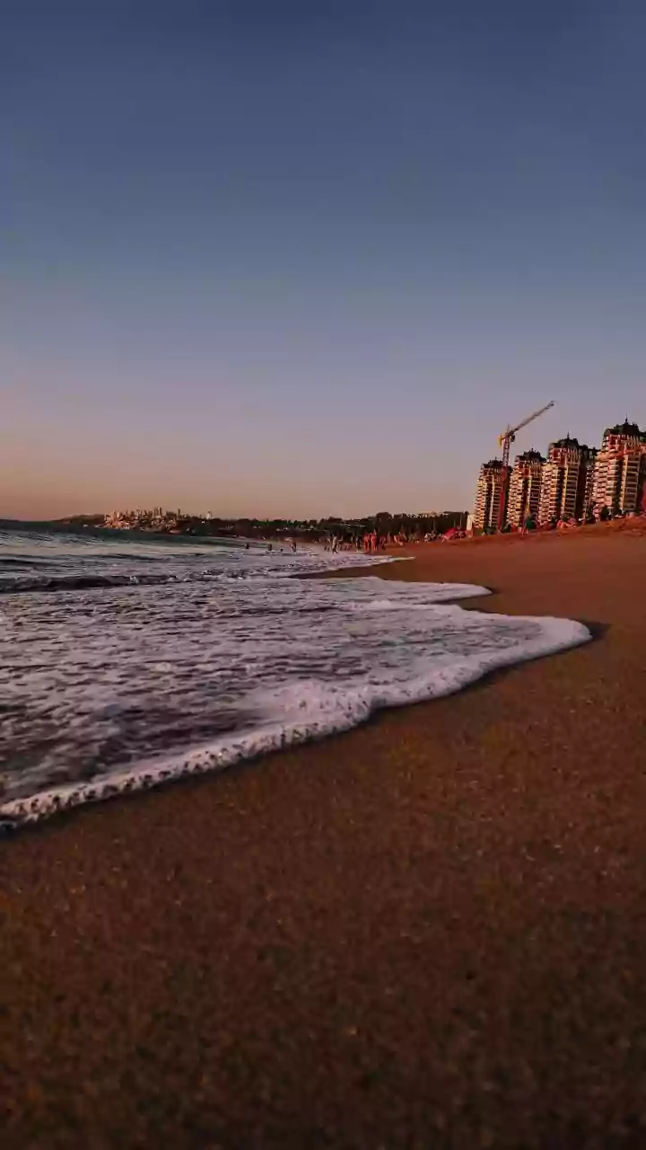Sydney Bondi Beach Shooting Targeted At Jews Declared Terror Act, IED Found In Car Near Attack Site - Top Points