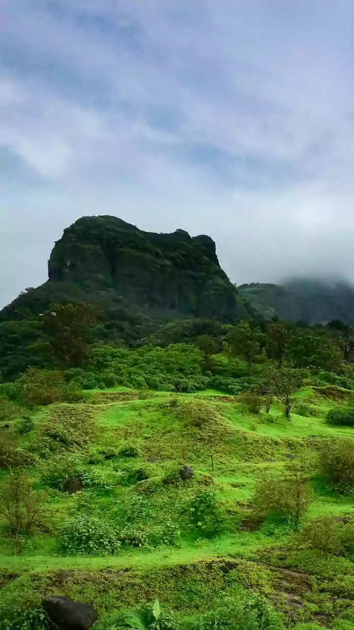 IMD Forecast Reveals Heavy Rain Bands Advancing Across Central India