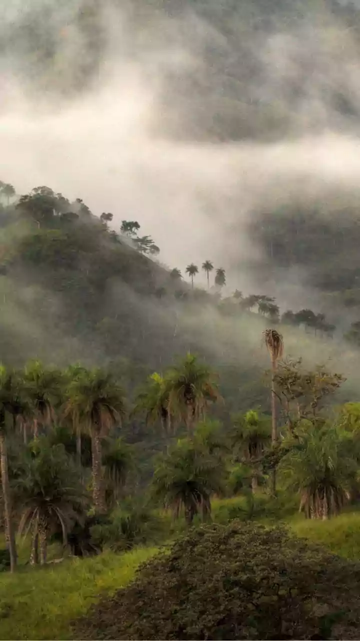 Discover Bhandardara Scenic Mist-Covered Plateaus And Secret Waterfalls Near Mumbai Today