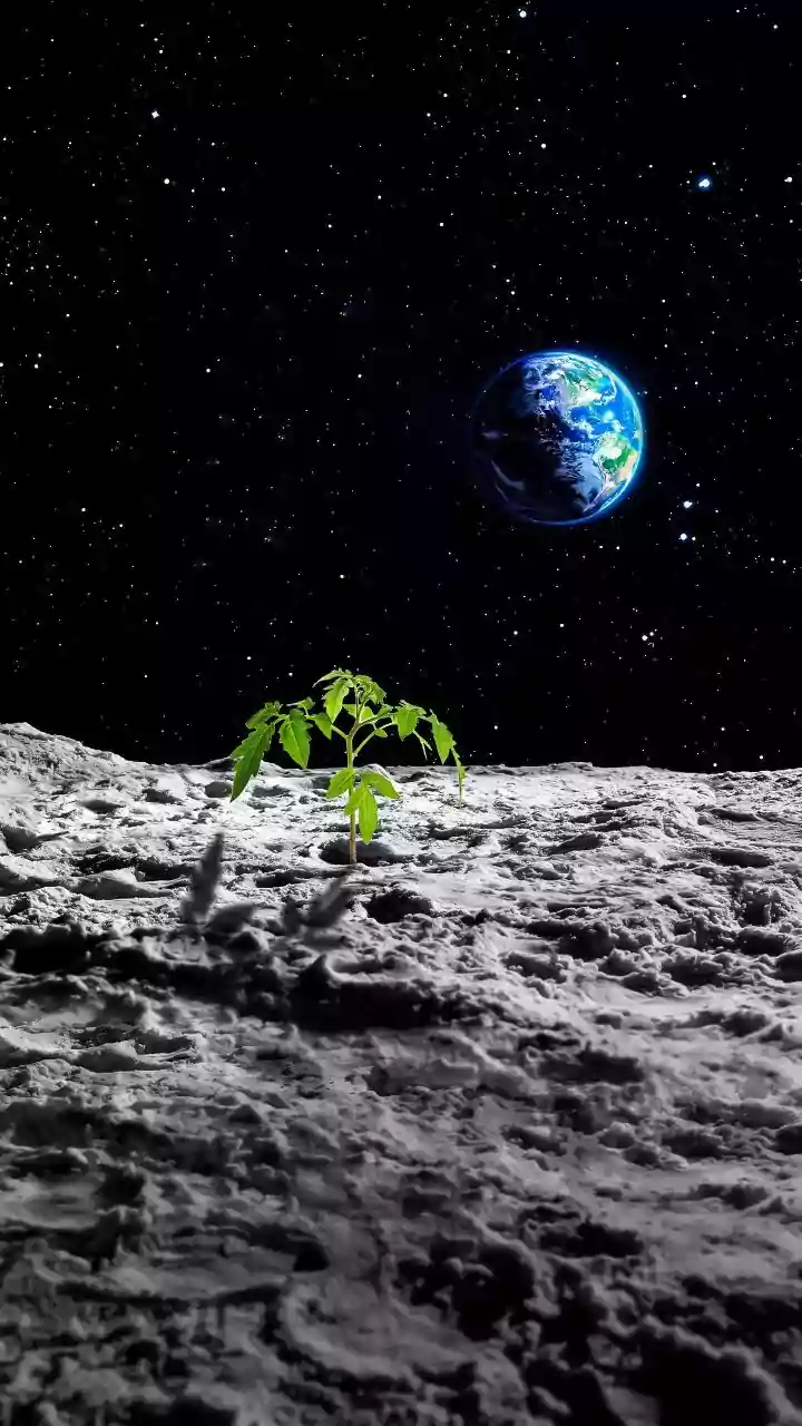 How ISRO Lander Measurements Help Map Thermal Distribution In Polar Regolith On Moon
