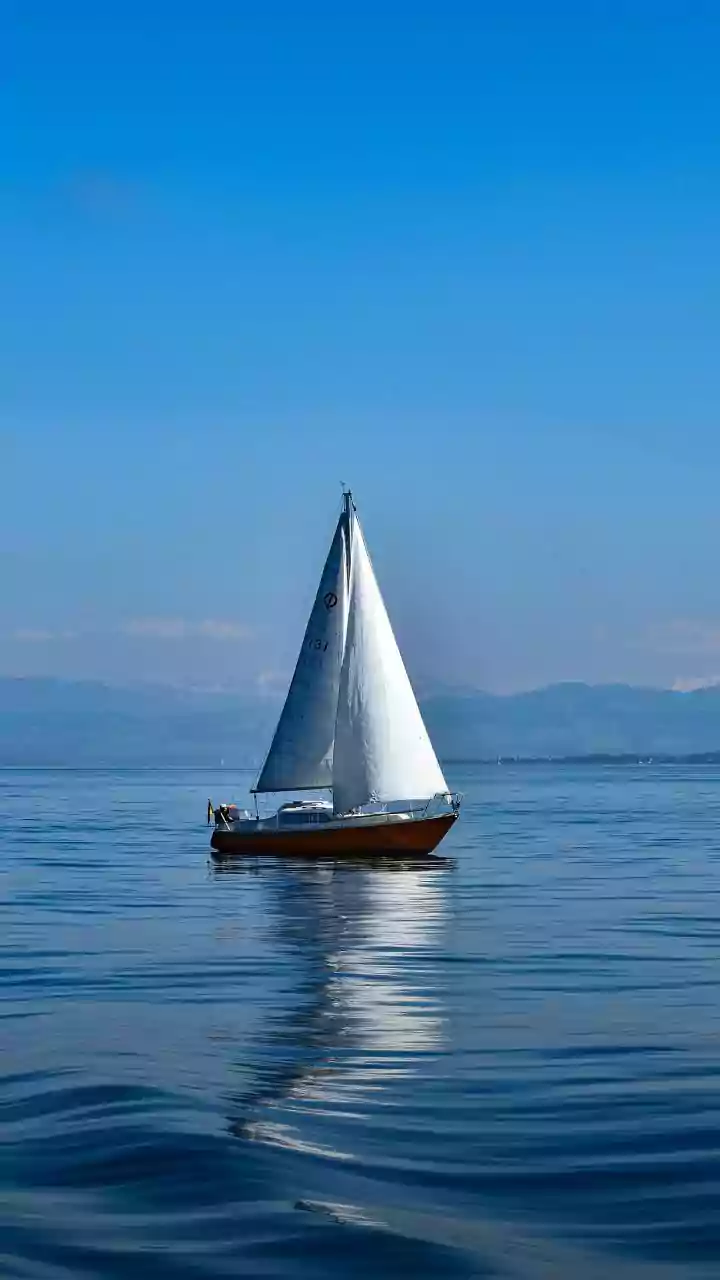 A hint of breeze comes and goes—mostly calm air stays in charge.