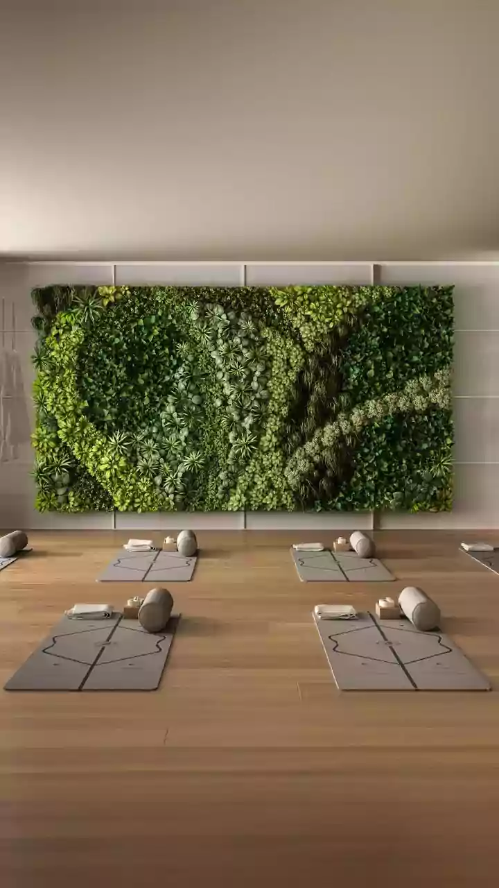 The Green Marshal Plan Turns Destination Care Into a Public-Facing Service