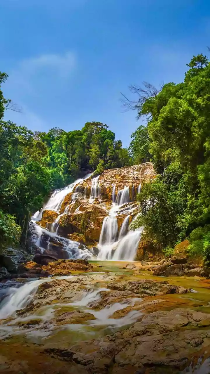 Offbeat Meghalaya Getaway Summary: Sohra Waterfalls Living Root Bridges Before Winter