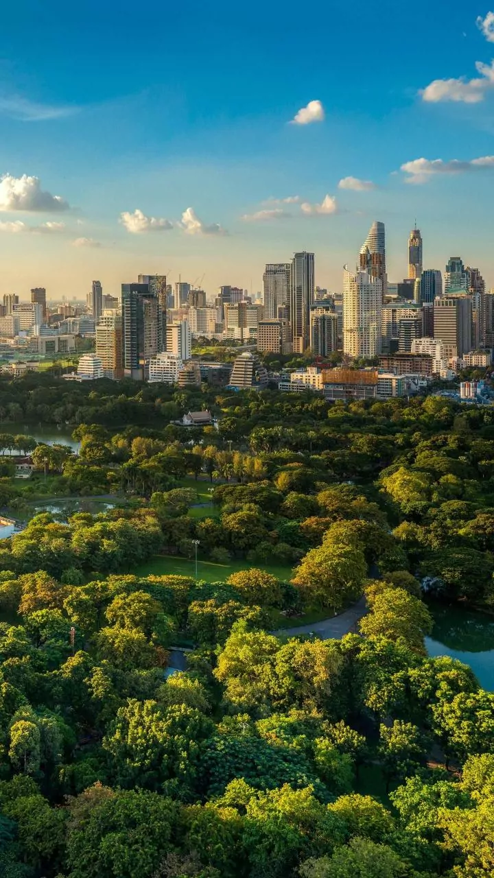 Urban Forests: Cooling Cities by Half, But Unequally Distributed