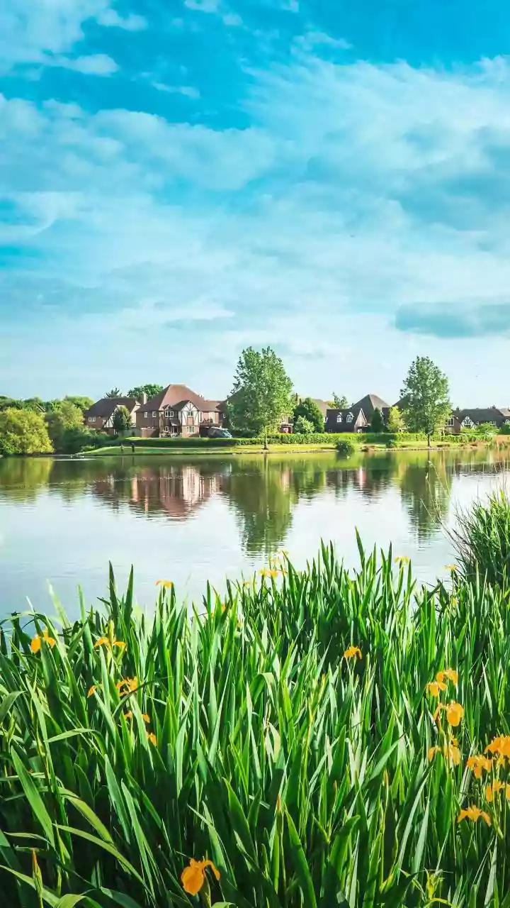 Eco Park: Kolkata's Green Gem - From Wetlands to Weekend Fun