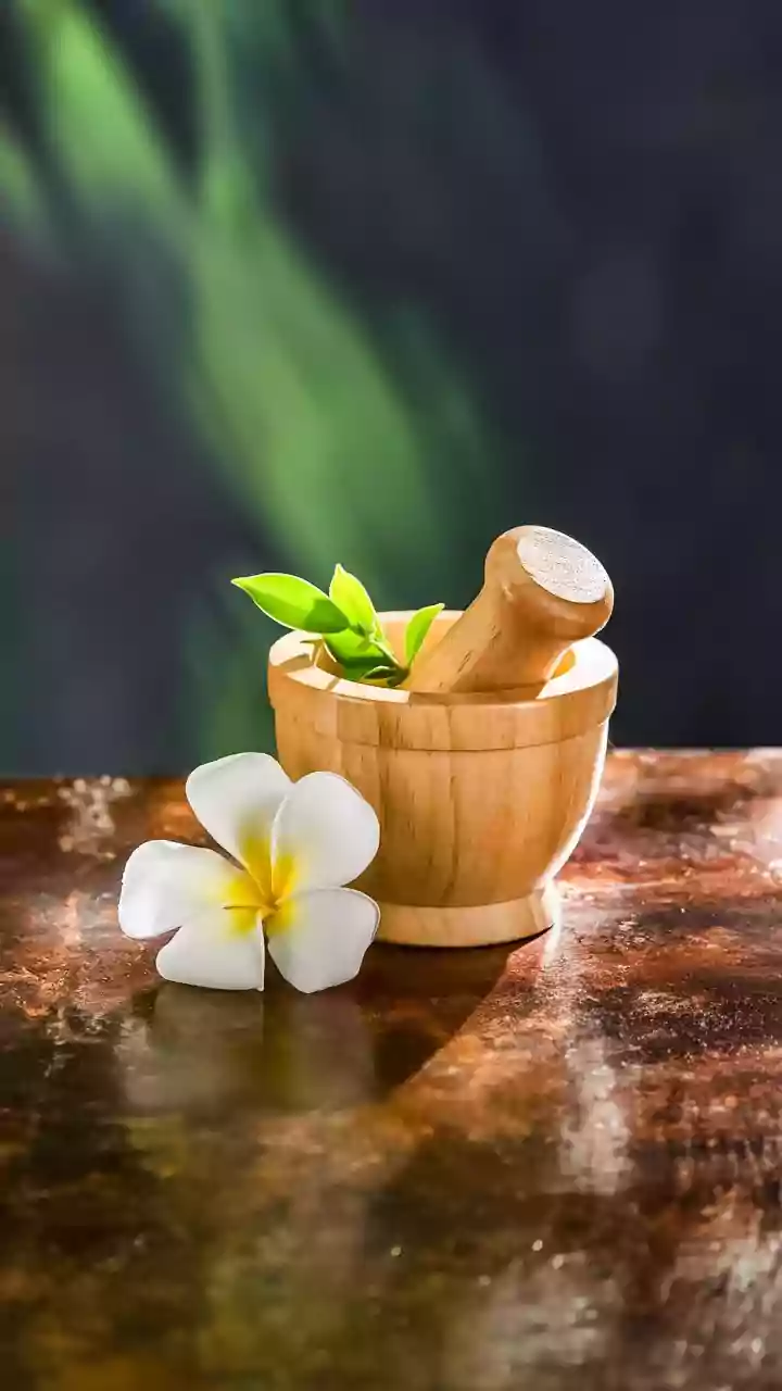 African Jasmine Plant Uses and African Jasmine's Appeal for Plant Enthusiasts: What to Know