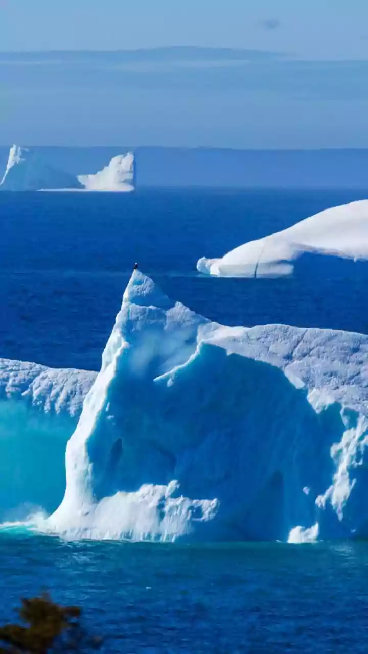 Trump tariffs: US President threatens 10% levy on 8 European nations over Greenland