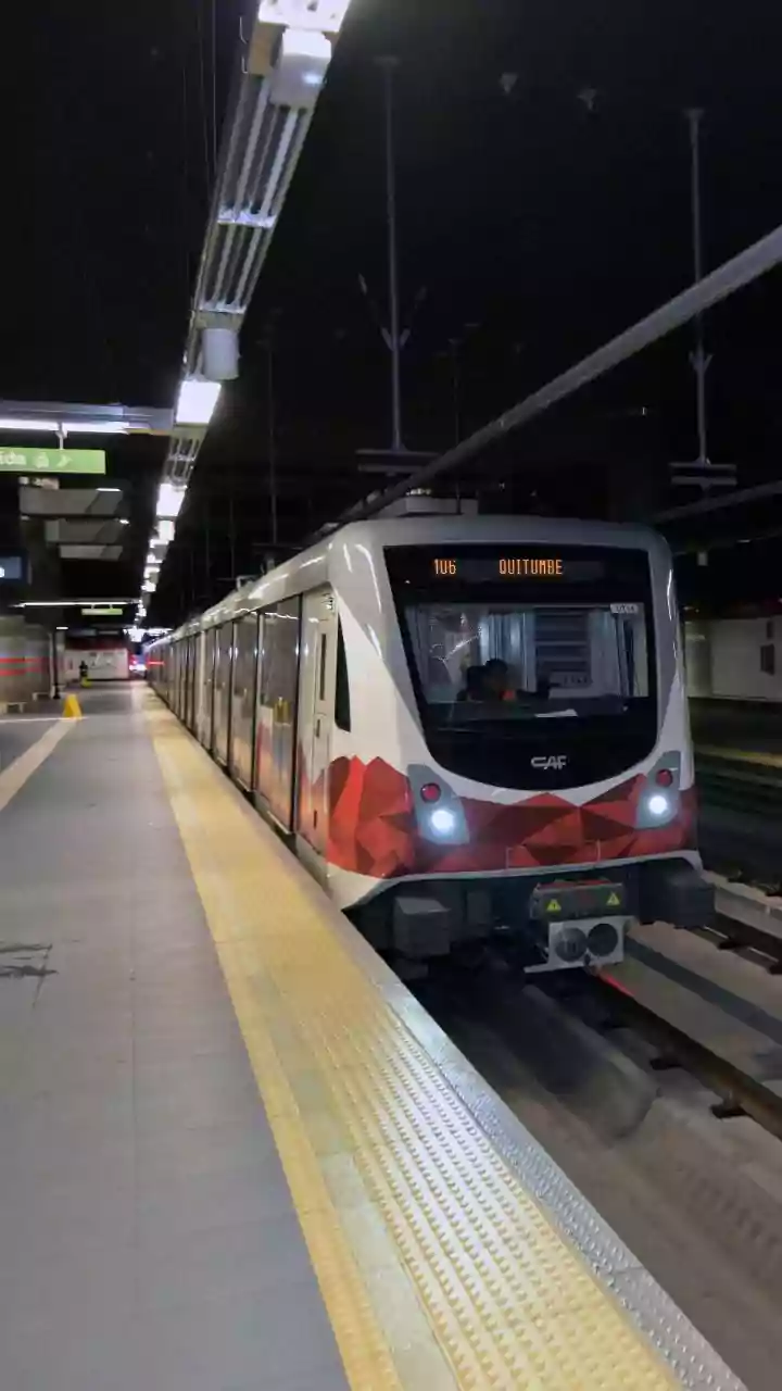How Bio-Engineered Moss Panels Absorb Commuter-Generated Dust Inside Metro Platforms Efficiently