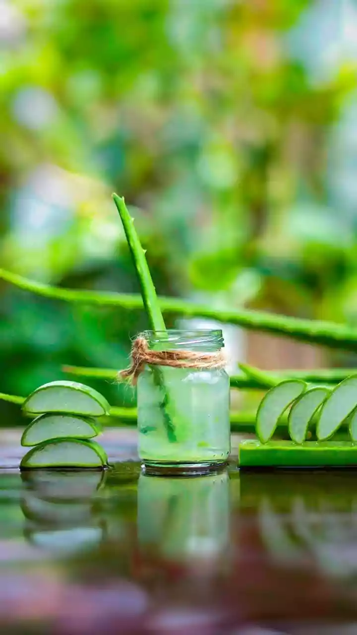 Rainy Season Wellness Made Surprisingly Simple