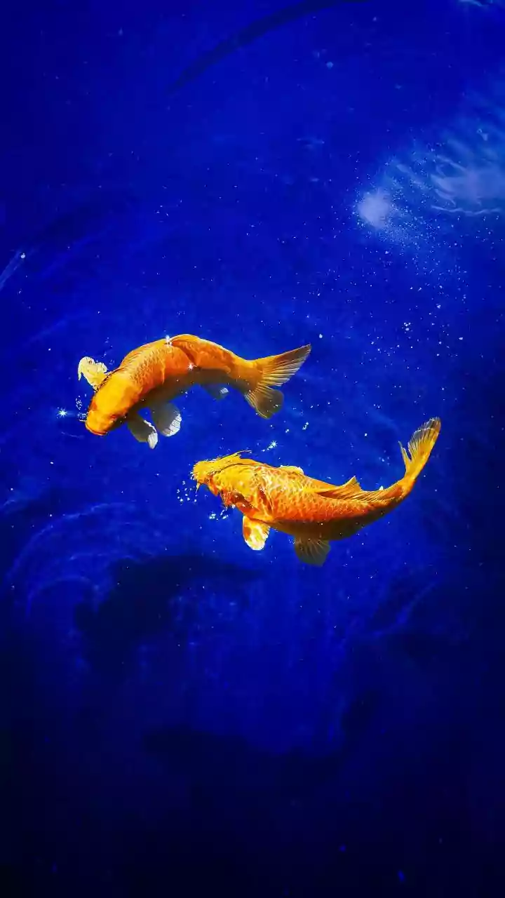 Pisces Horoscope Today, March 18, 2026