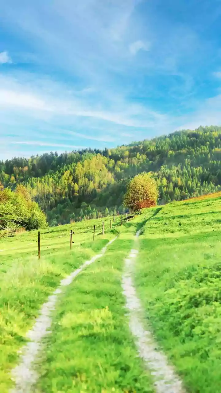 Fresh Landscapes Are Giving Indian Travellers New Reasons To Explore After Monsoon