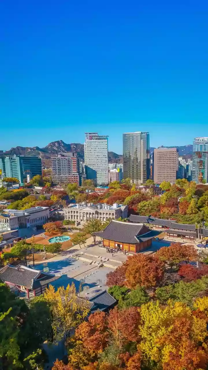 Seoul's Outdoor Libraries Make Public Space Feel More Usable