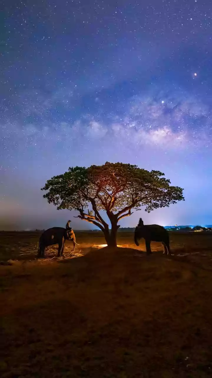 Planning A Stargazing Trip? Nashik’s Udmal Village Is Emerging As A New Destination