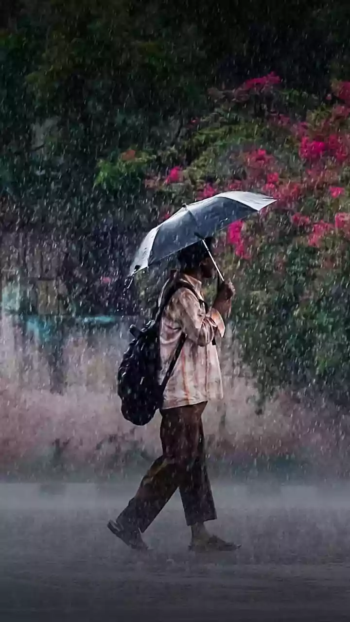 Bangalore's rainy week ahead — IMD predicts 5 days of showers across the city