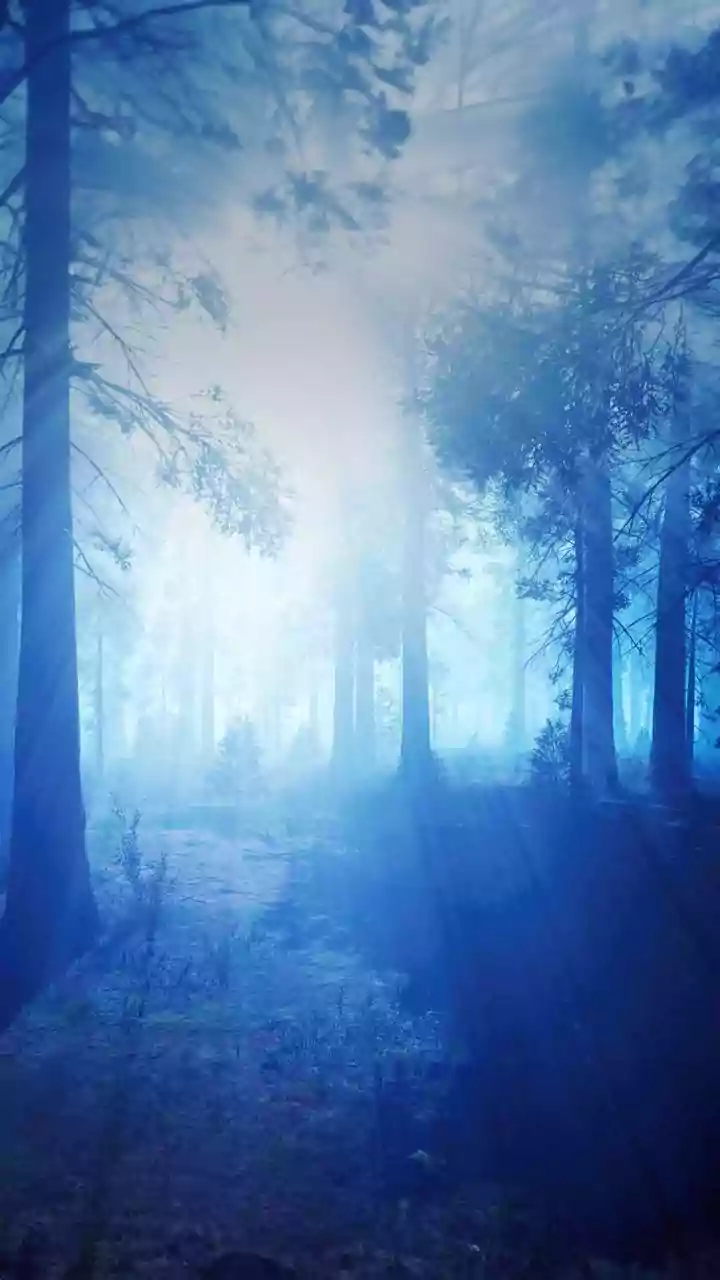 IMD issues yellow alert for cold wave, dense fog in parts of Jharkhand