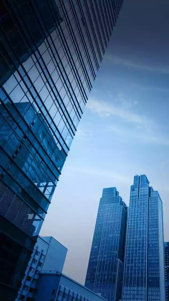 India's Offshore Mutual Funds Require Compliance With Domestic and Foreign Rules