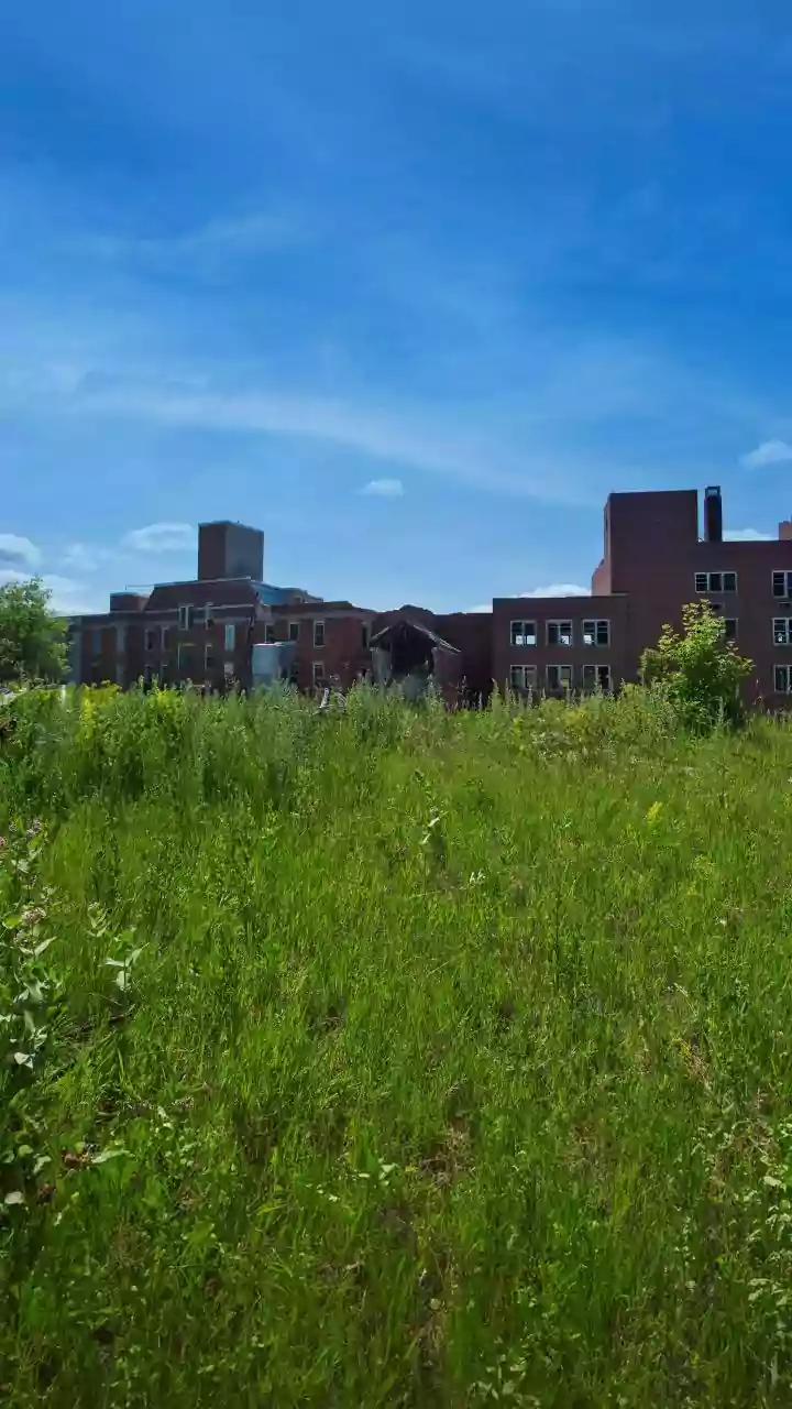 Uranium-Fixing Bacteria Could Change how Environment and Science Readers Approach Microbial Environmental Remediation
