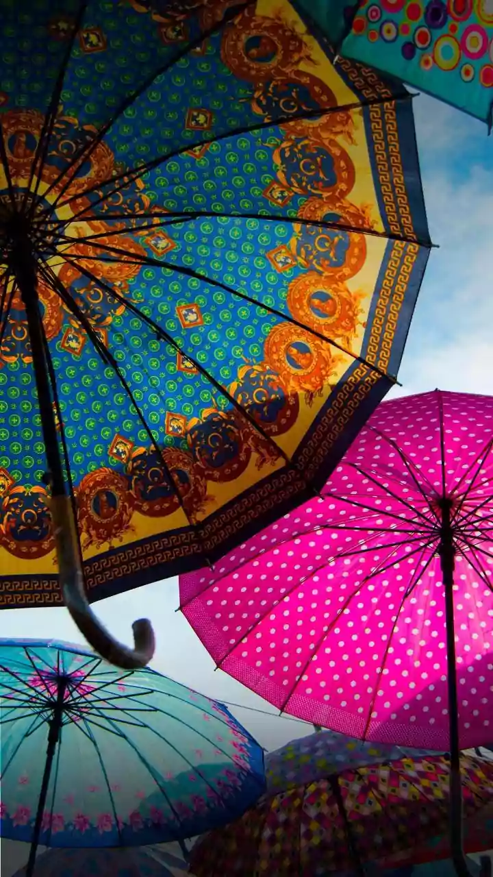How to choose a long-lasting umbrella