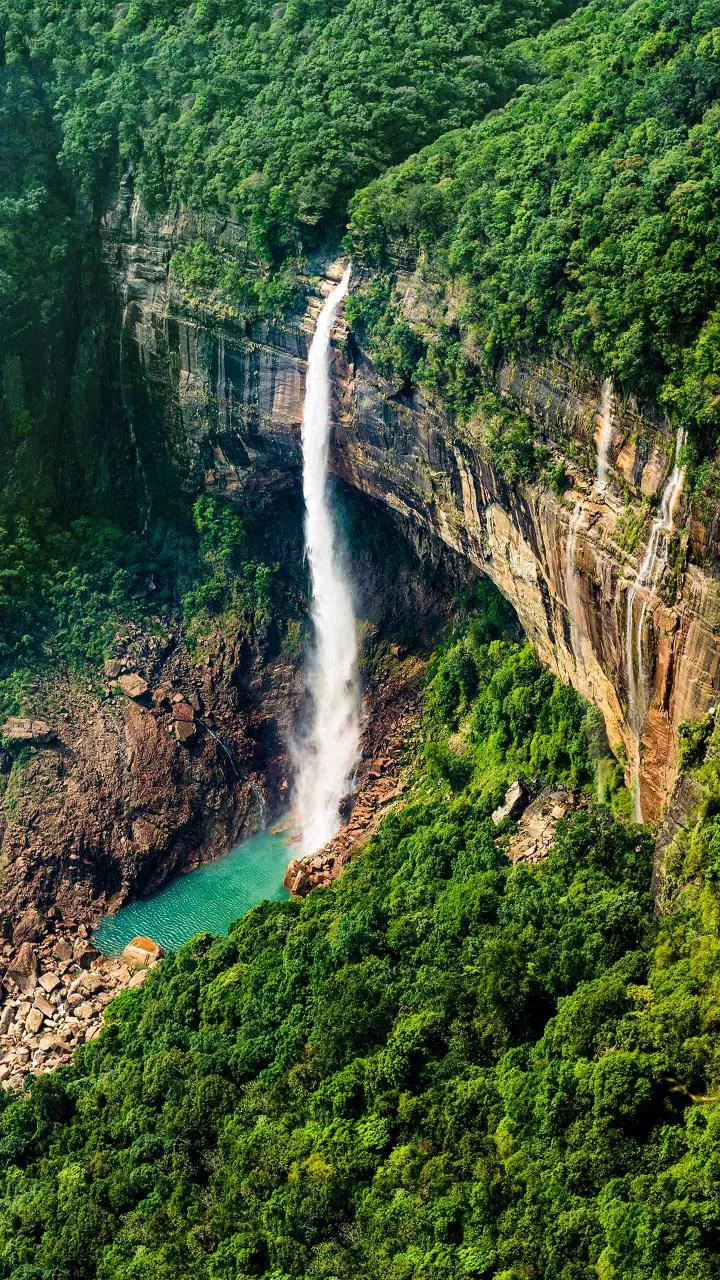 Uttarakhand: Himachal Roadways bus falls into gorge, 3 dead