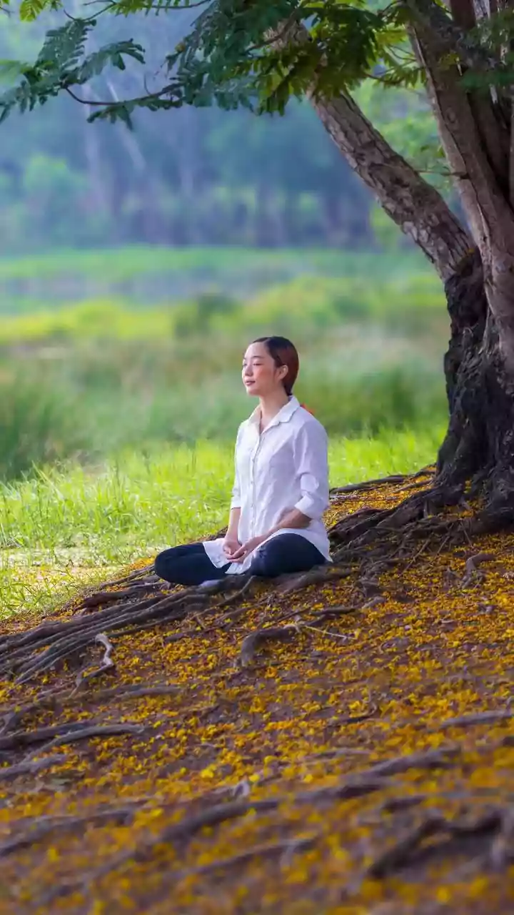 Sadhguru's Wisdom: A Path to Inner Freedom and Well-being