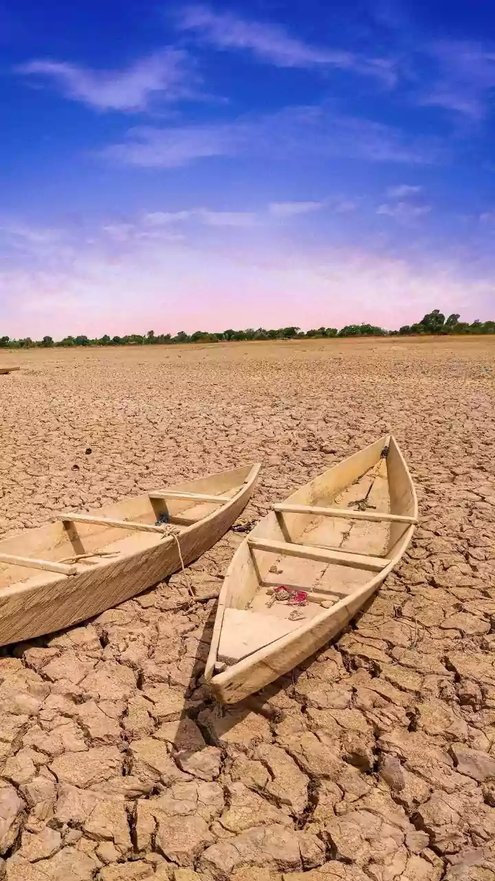 Super El Niño is back — and your kitchen budget could feel it by August