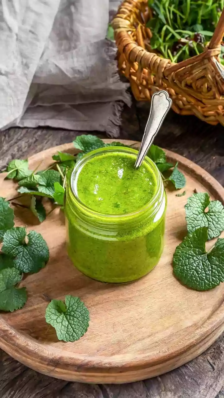 Mint And Cumin Recipes Explained: Mint Cumin Chutney For Home Meals