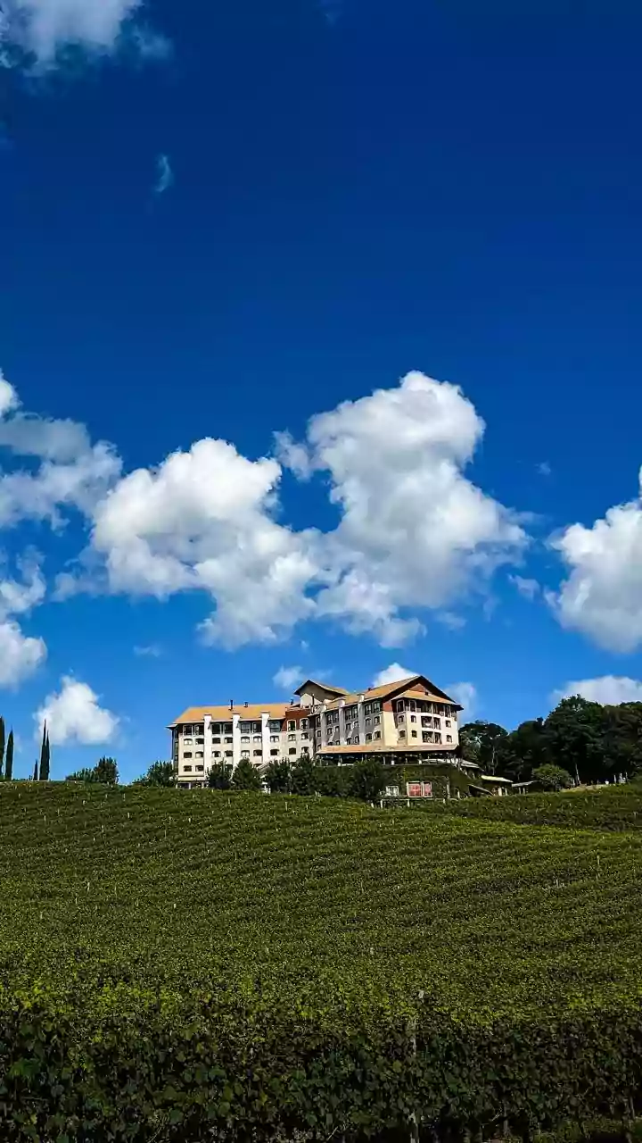 Bento Gonçalves: Vale dos Vinhedos ganha resort dentro de vinícola