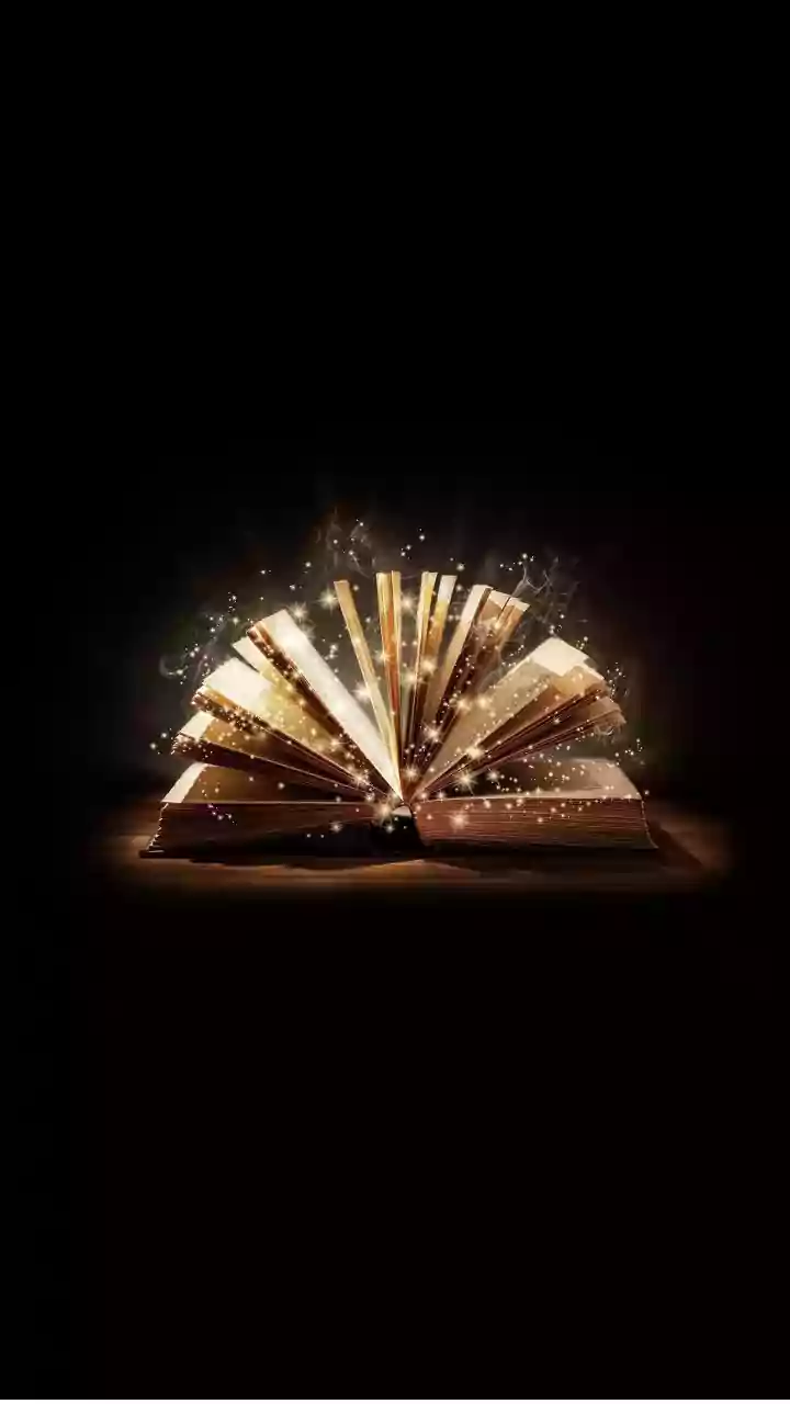 Word of the Day: Novel