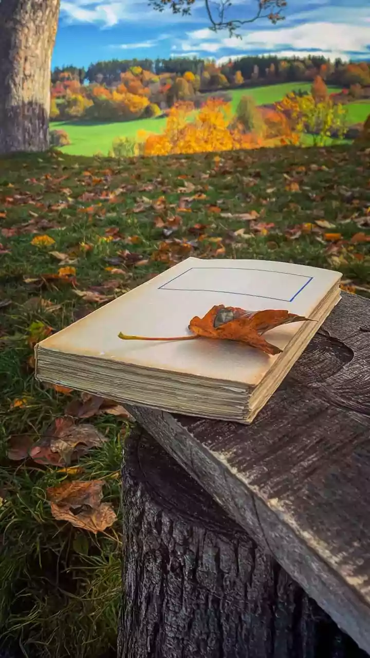 Nature Journalling Makes Small Changes in Landscape Part of the Story
