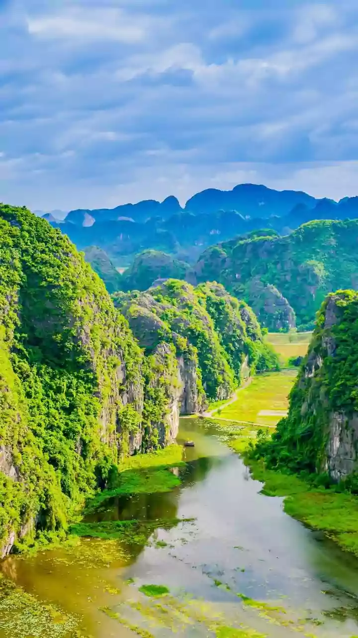 Flight Deal Alerts Help Metro Youth Book 5-Day Vietnam Trips Under ₹35,000 Easily