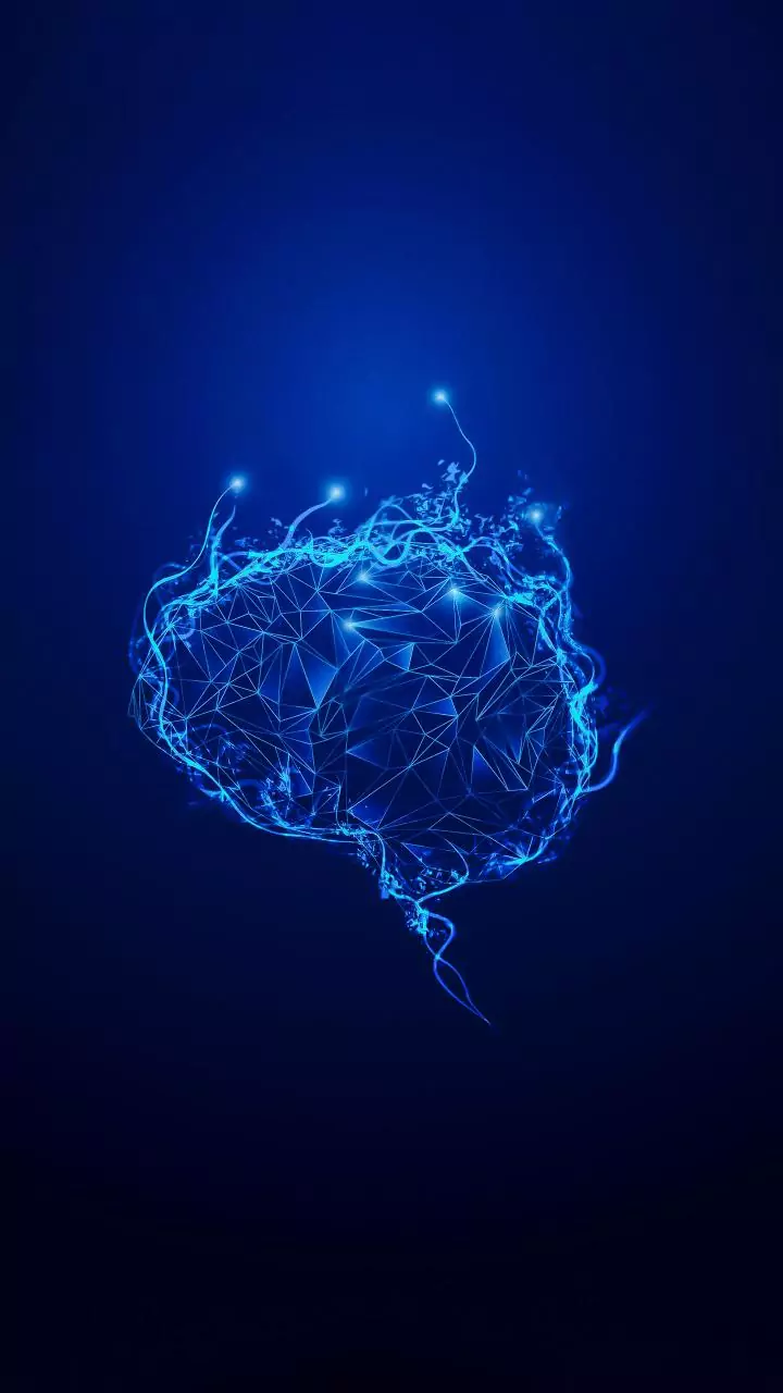 Study in mice reveals brain process that measures distance travelled, helps navigate