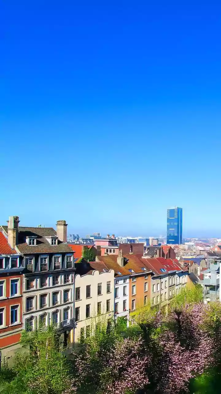 Lille's Weekend Wonders: Art, History, and Gastronomy Beckon