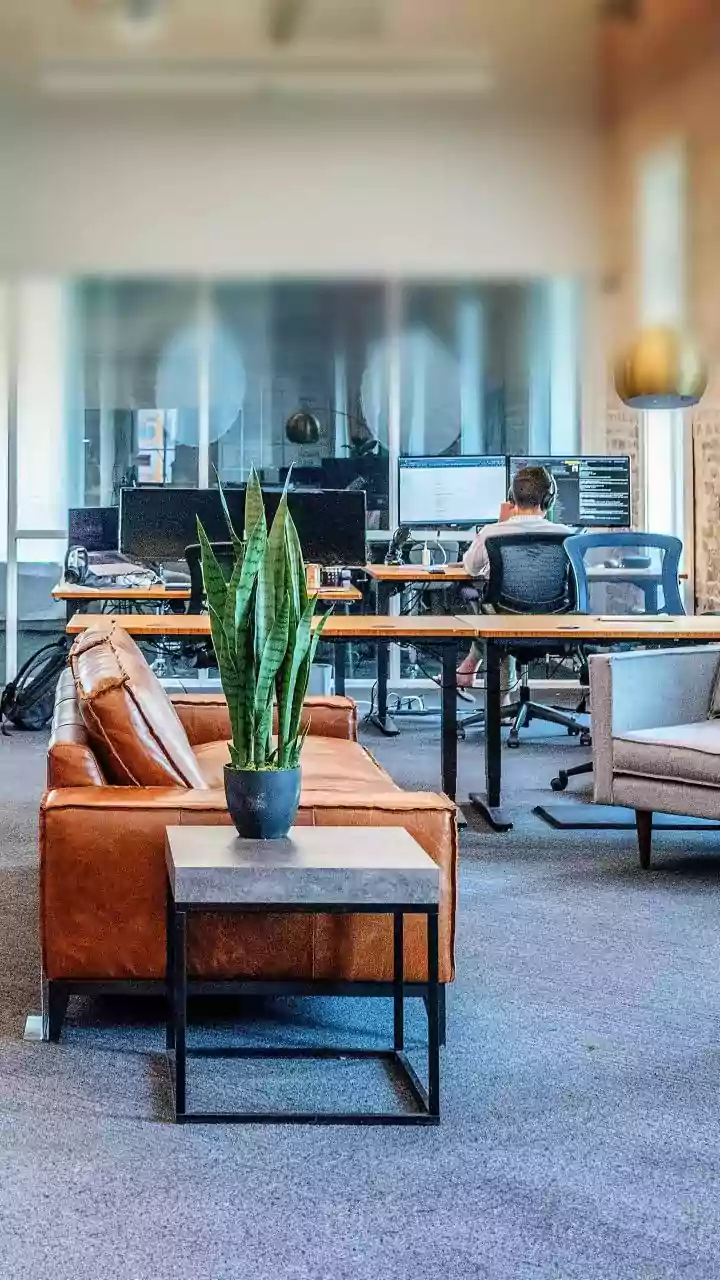 Work Wonders: Ways to Cultivate a Vibrant Workplace