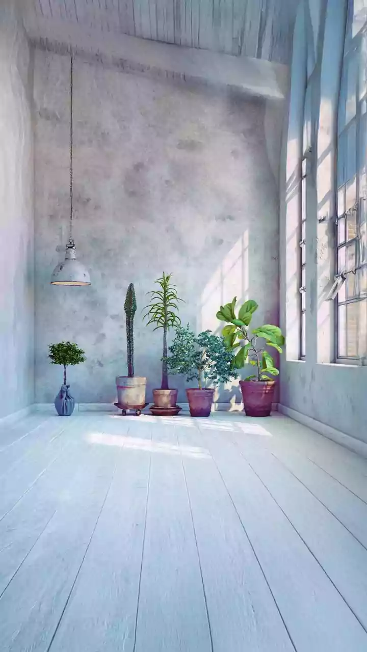 How To Grow A Balcony Herb Garden During Monsoon: Simple Tips