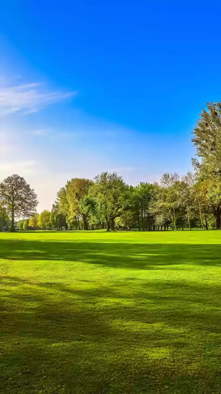 Trump's Golf Outing: A Heartwarming Family Affair