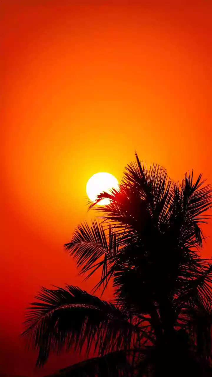 Beat the Heat: Essential Tips for Surviving India's Scorching Summer