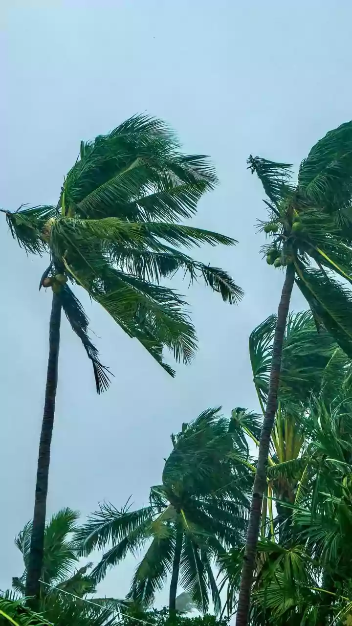 Mumbai Rain Guide: Planning A Safer Journey During Monsoon Disruptions