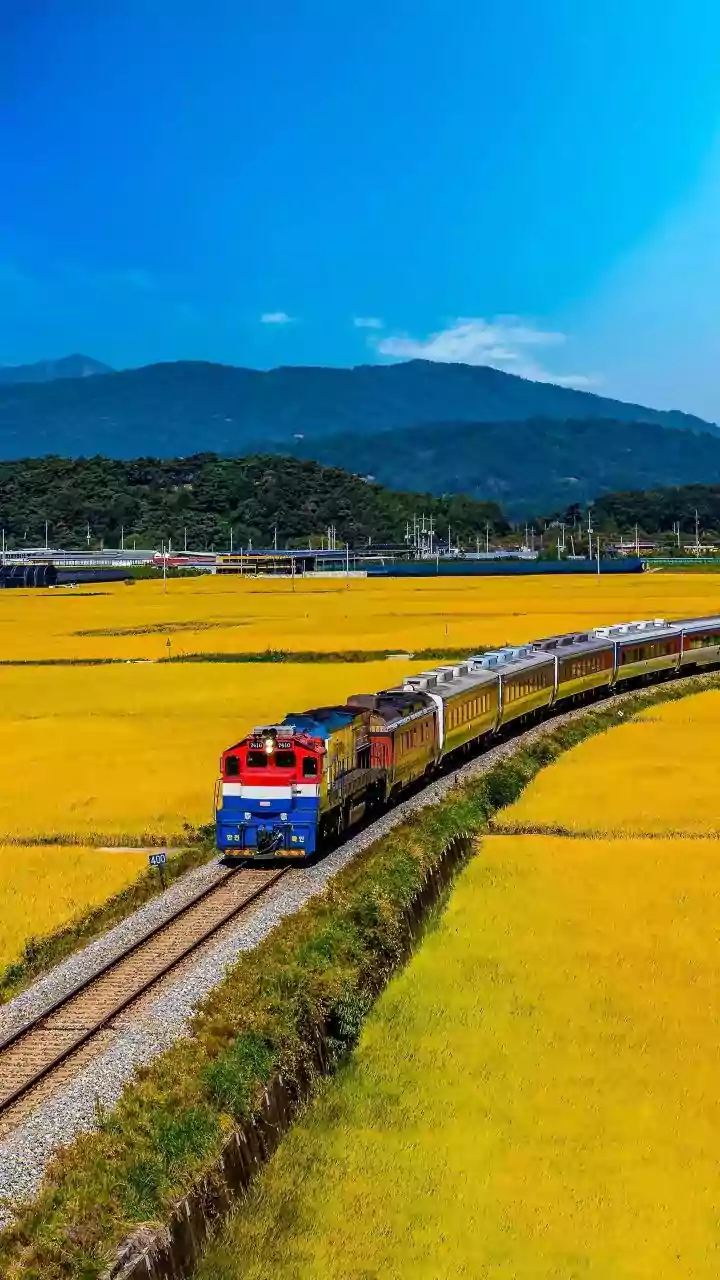 Indian Railways Passengers: Check Revised Train Routes Before October Journeys